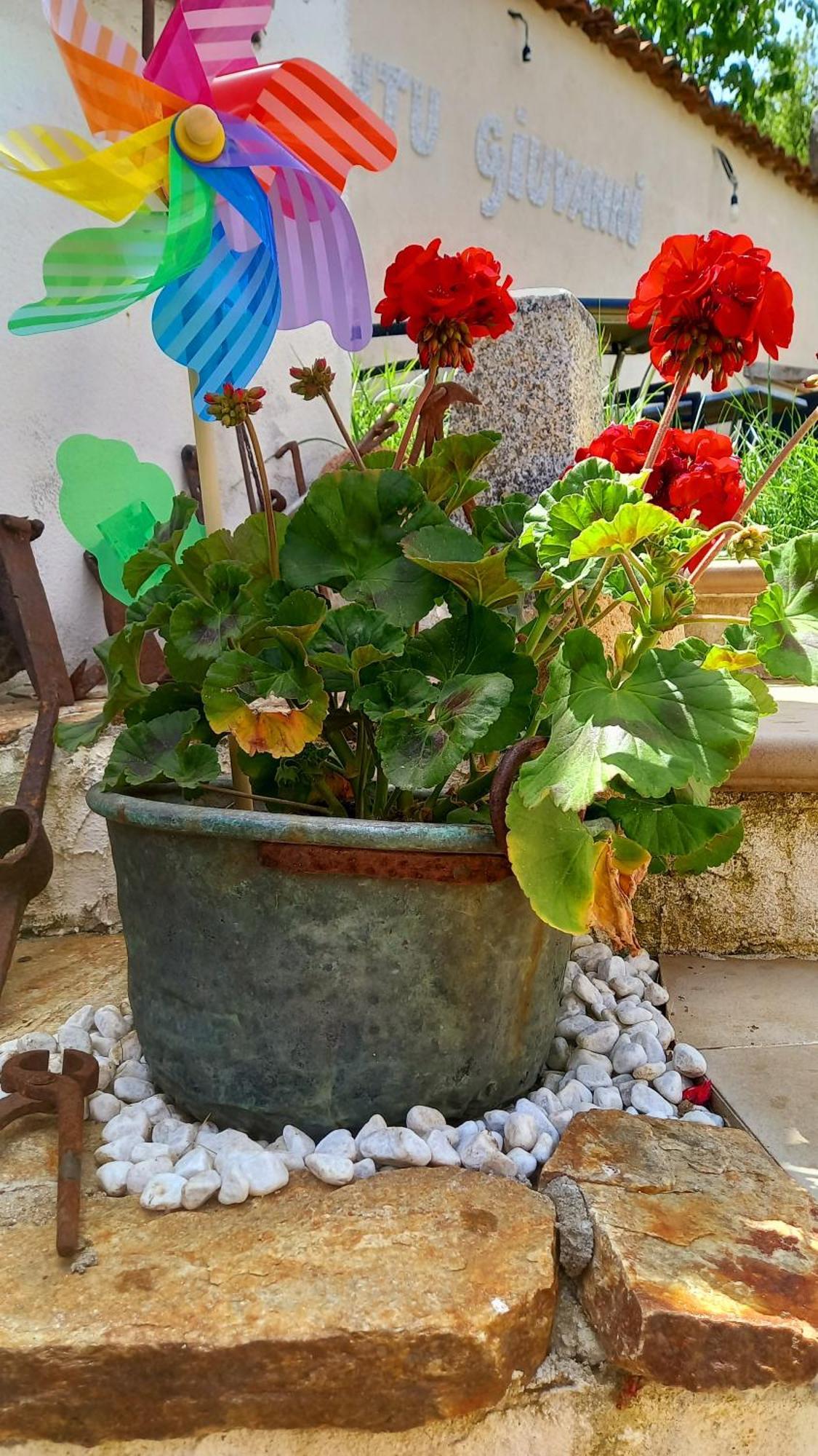 "B&B Santu Giuvanni" Fonni Exterior foto